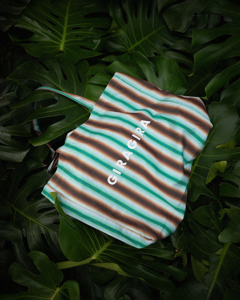 Souvenir Tote